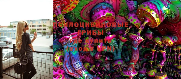 стафф Медногорск