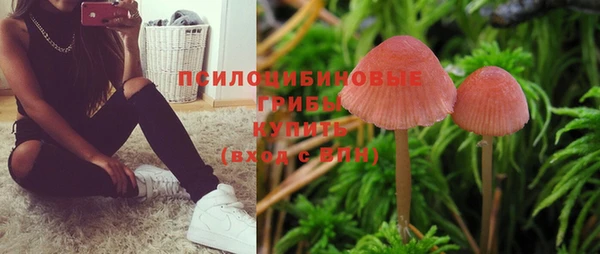 наркотики Абаза