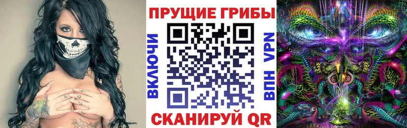 где продают Нерчинск Псилоцибиновые грибы Cubensis